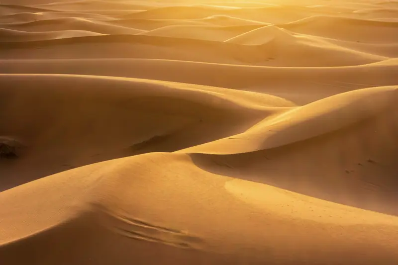 The Merzouga dunes