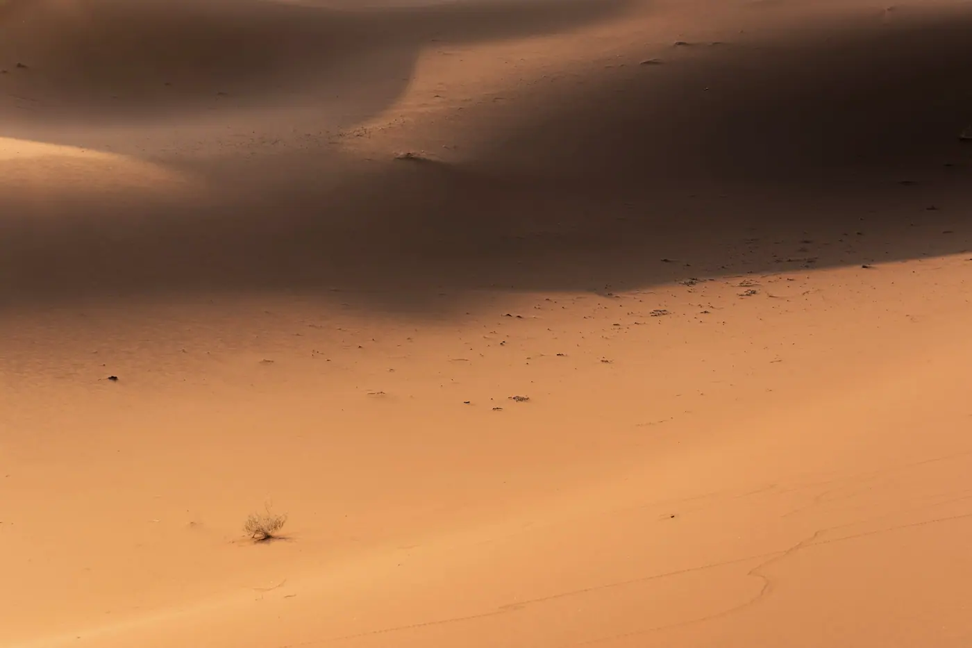 Light and shadow on the Merzouga dunes